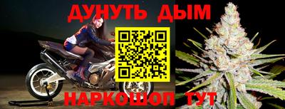 сатива Кулебаки