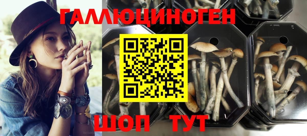 Галлюциногенные грибы ЛСД  Вход с VPN  Уссурийск  где купить наркоту  Псилоцибиновые грибы прущие грибы 