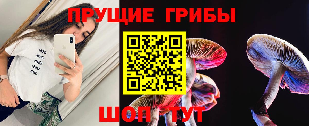 Галлюциногенные грибы Psilocybine cubensis Уссурийск